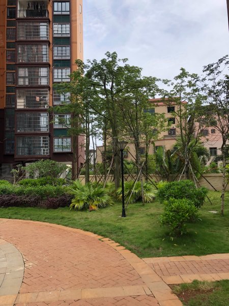 龙凤花园,新大洲大道-海口龙凤花园二手房,租房,房价-海口安居客