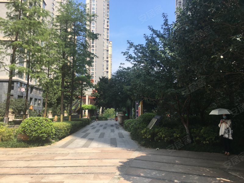 和昌都汇华府,当涂支路388号-合肥和昌都汇华府二手房,租房,房价-合肥