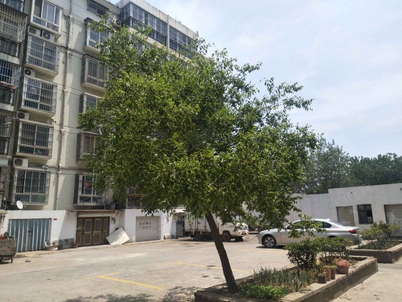 新苑公寓,衡山南路-宿迁新苑公寓二手房,租房,房价-宿迁安居客