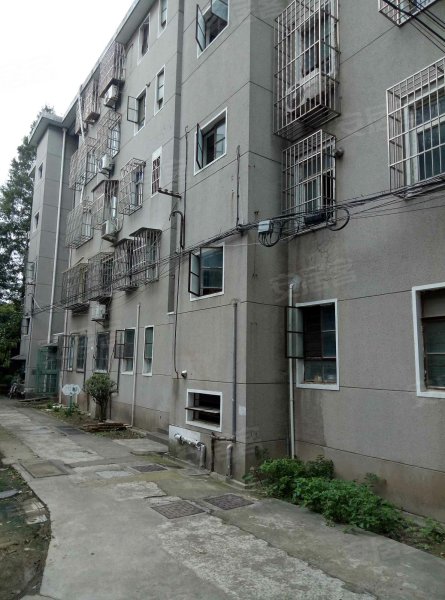 交大农学院家属楼 