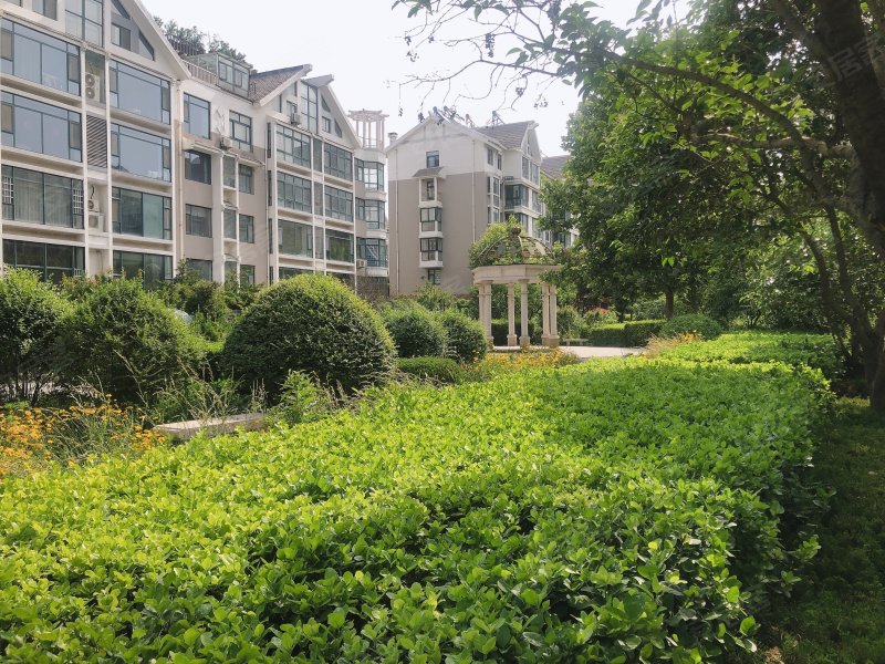 美丽华小区,文化路301号-潍坊美丽华小区二手房,租房,房价-潍坊安居客