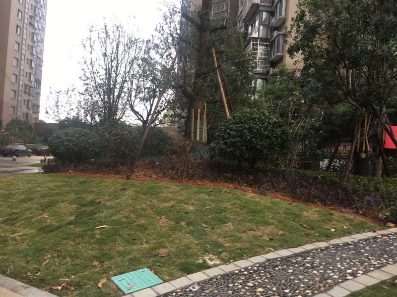 恩瑞御西湖,金星中路168号