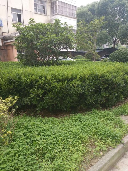 名城花园(吴江)