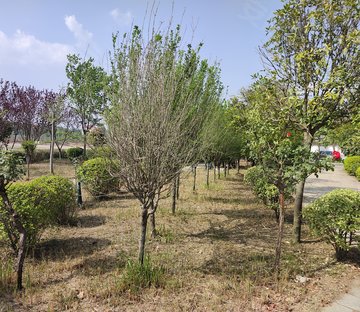 牌坊街153号小区