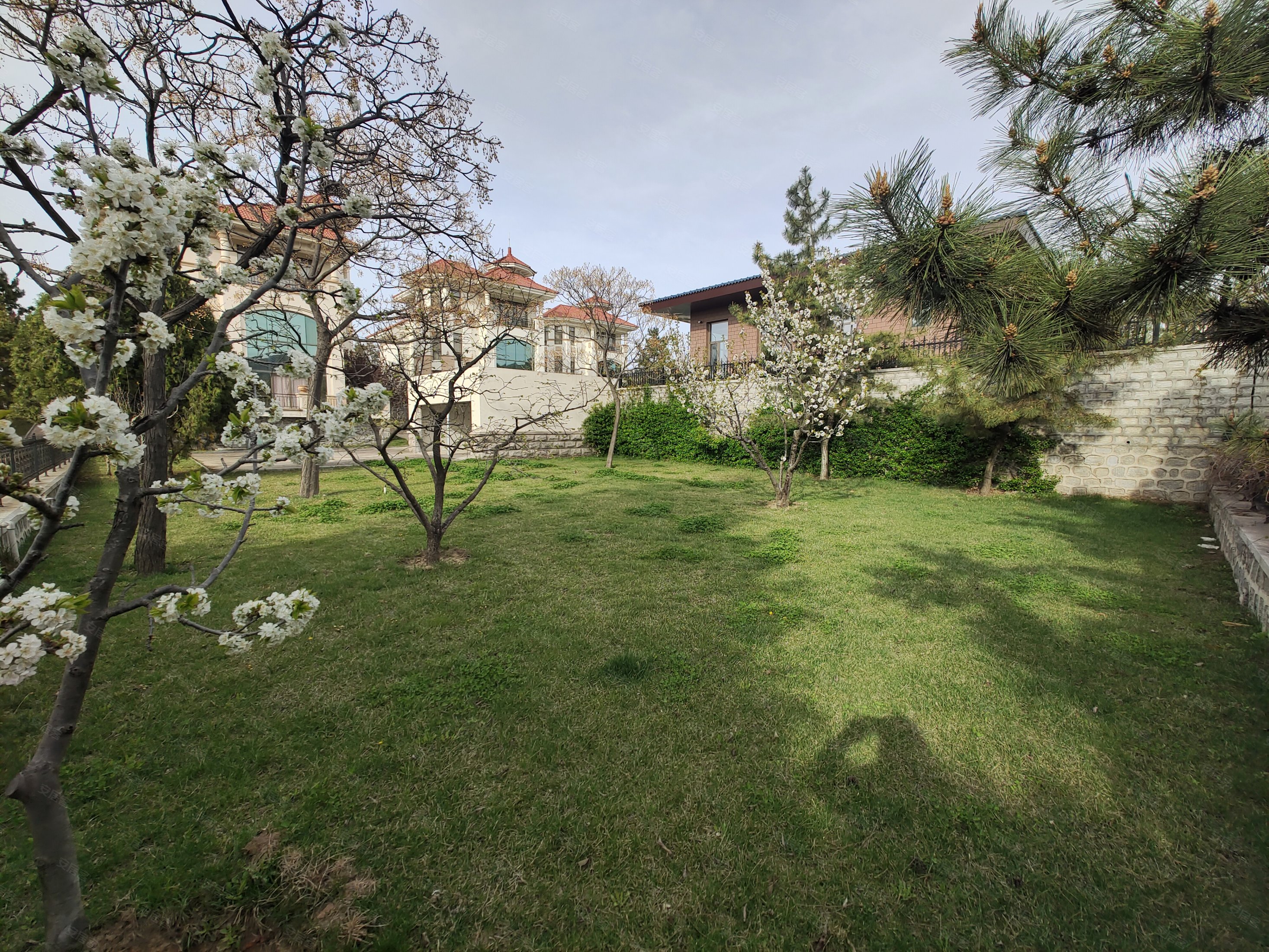 烟台房产网>烟台二手房>龙口二手房>南山二手房>南山高尔夫庄园别墅>