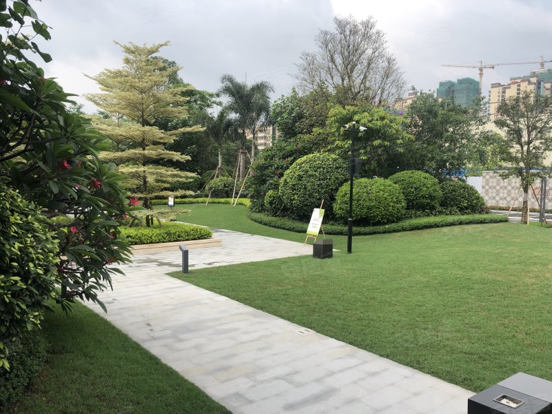 新力龙湾,清远大道-清远新力龙湾二手房,租房,房价-清远安居客