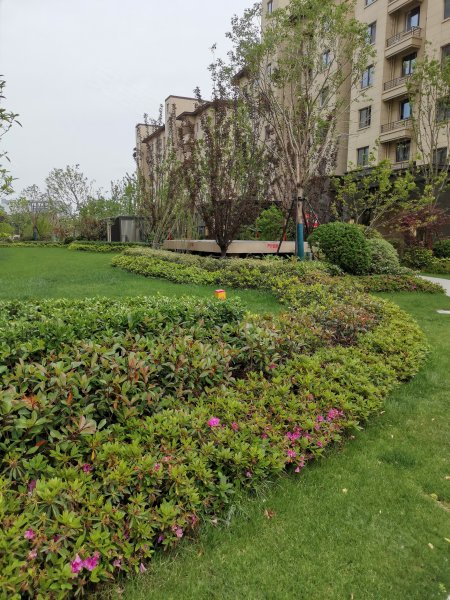 美的雍翠园,|嵩山路1号-徐州美的雍翠园二手房,租房,房价-徐州安居客