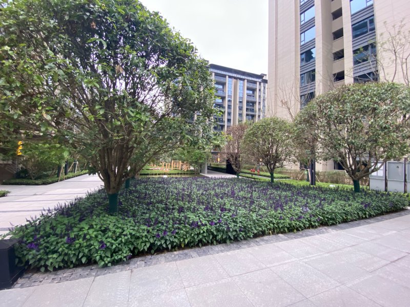 合景泰富天銮,北区路1号-重庆合景泰富天銮二手房,租房,房价-重庆安居