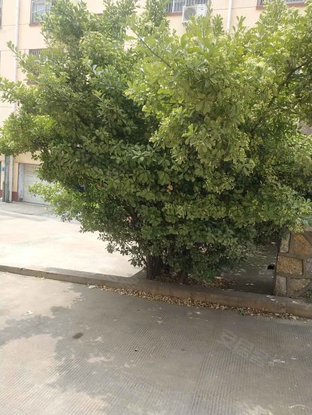 桃花涧小区,沂州路177号-临沂桃花涧小区二手房,租房,房价-临沂安居客