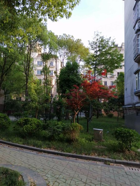 嘉州美都(一期欢乐园),百墅路239号-嘉兴嘉州美都(一期欢乐园)二手房