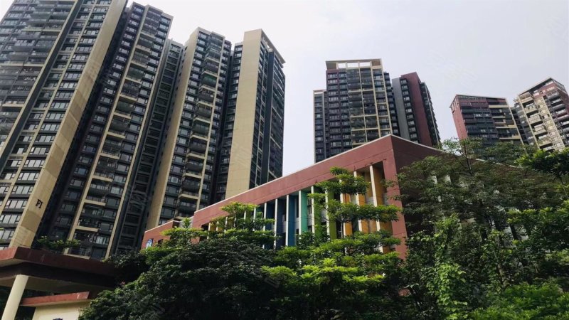 星河丹堤花园,星河东七路1号-深圳星河丹堤花园二手房,租房,房价-深圳