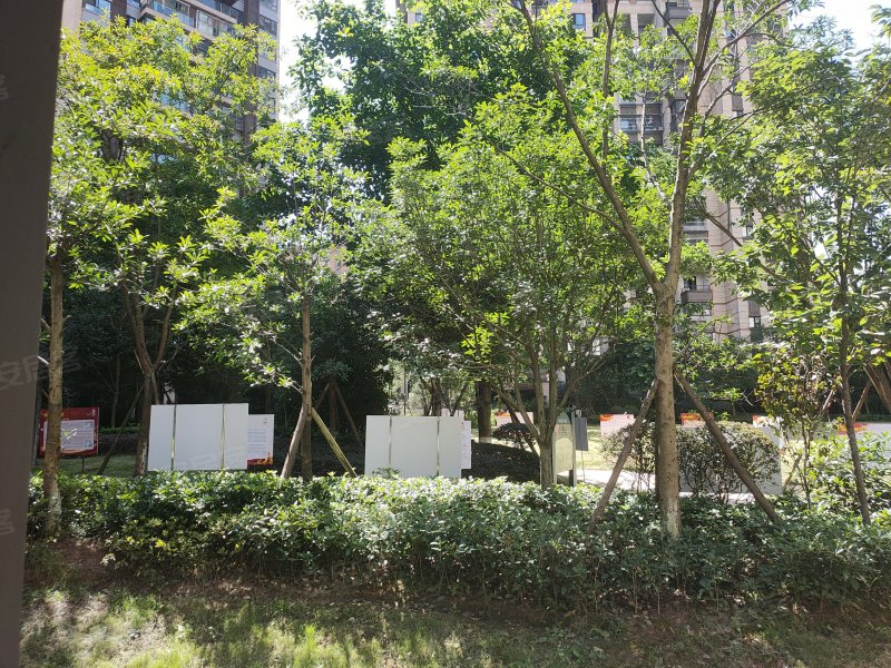 鲁能山水原著原香岭
