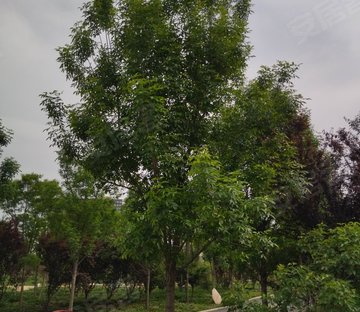 东新南路286号小区