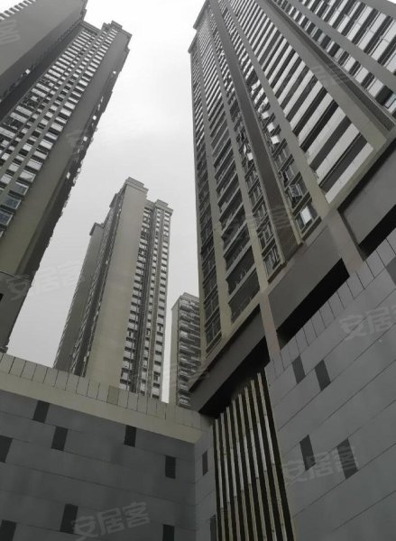 水湾1979,荔园路8号-深圳水湾1979二手房,租房,房价-深圳安居客