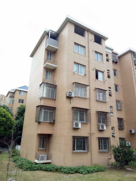 玉兰路81弄小区 