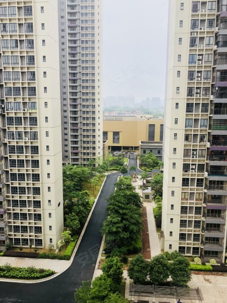 凤凰春天花园,清远大道-清远凤凰春天花园二手房,租房,房价-清远安居