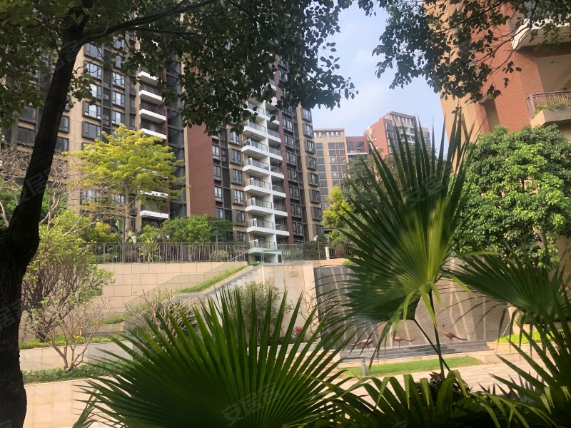 星河丹堤(别墅),登山路-广州星河丹堤(别墅)二手房,租房,房价-广州