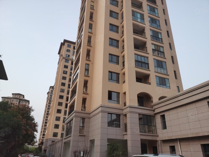 现代城大(二期),交通大道-周口现代城大(二期)二手房,租房,房价-周口