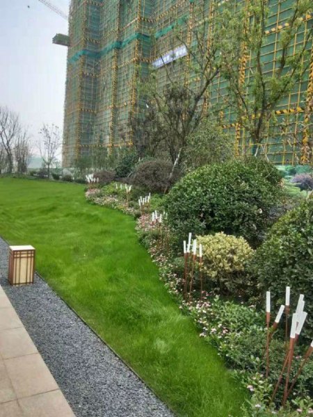 宝龙世家,群贤路,近越秀路-绍兴宝龙世家二手房,租房,房价-绍兴安居客