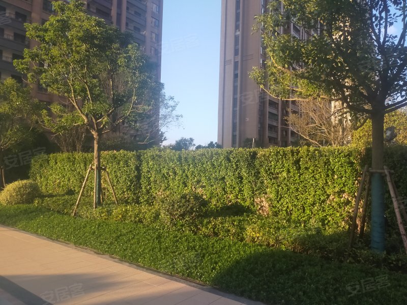 嘉福未来城(信丰县)