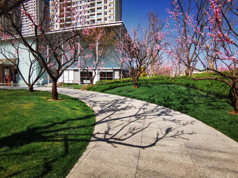 上悦天地(商住楼),沙河路,近陈家营路-昆明上悦天地(商住楼)二手房