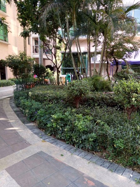 平洲富景花园,南港路11号-上海平洲富景花园二手房,租房,房价-上海