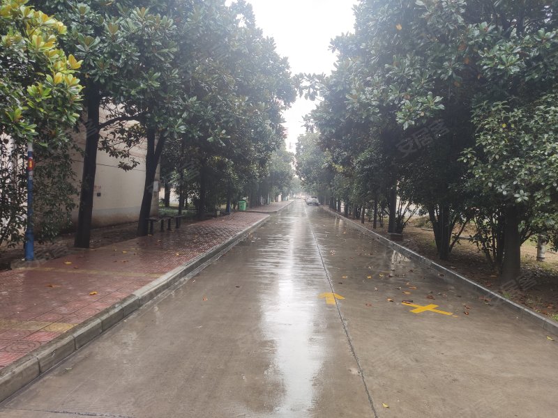 丰泽园(解放),政二街,近人民路-焦作丰泽园(解放)二手房,租房,房价