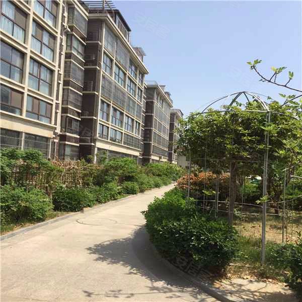 普照家园,岱宗大街351号-泰安普照家园二手房,租房,房价-泰安安居客
