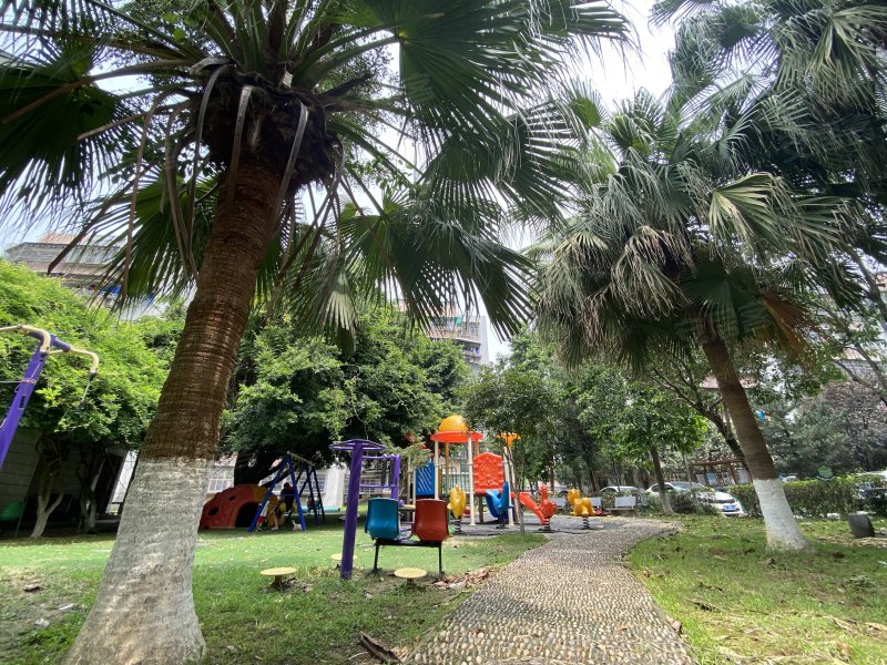 竹园,新蒲路66号-温州竹园二手房,租房,房价-温州安居客