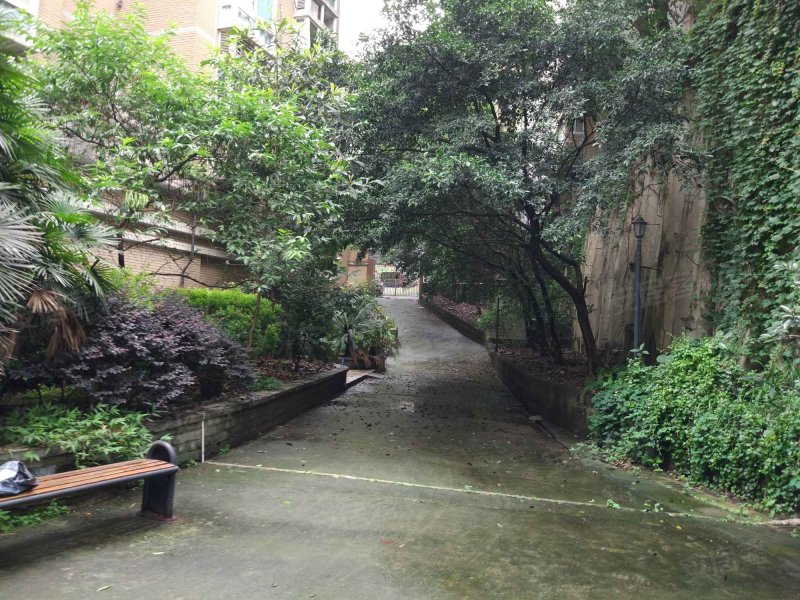 嘉和苑(渝中),枣子岚垭正街101号-重庆嘉和苑(渝中)二手房,租房,房价