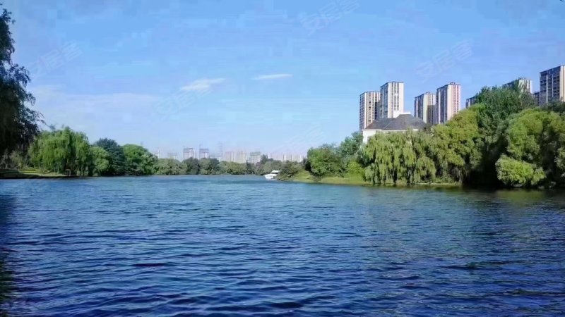 金沙湖高尔夫观邸(北区),经南八路-郑州金沙湖高尔夫观邸(北区)二手房