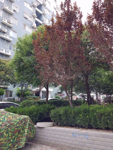西湖春天,五龙口南路9号-郑州西湖春天二手房,租房,房价-郑州安居客