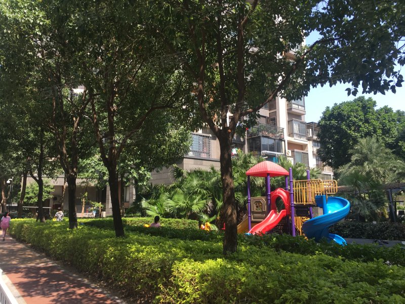 中天金海岸金爵苑天泽江鼎