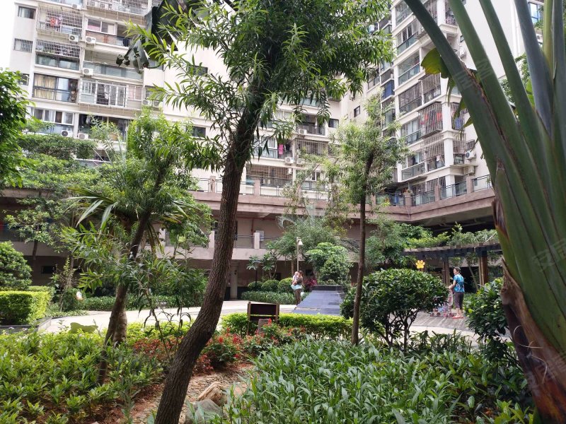 米兰春天,金桥路18-28号-厦门米兰春天二手房,租房,房价-厦门安居客