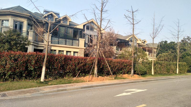 绿城桃源小镇秀水苑