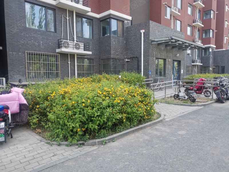 柳浪家园东里,马连洼北路-北京柳浪家园东里二手房,租房,房价-北京