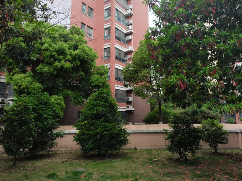 格林春天野花园