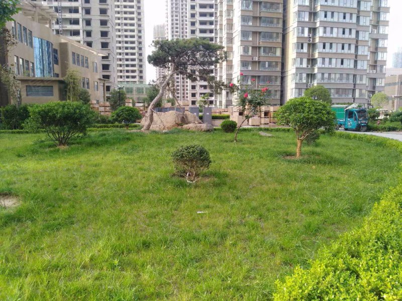 金鼎国际(兰陵)