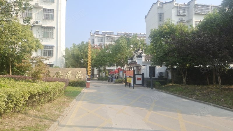 安居苑(三河,振宁路,近南京路-合肥安居苑(三河)二手房,租房,房价
