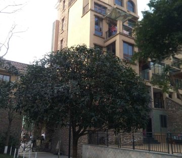 普罗旺斯国际公馆