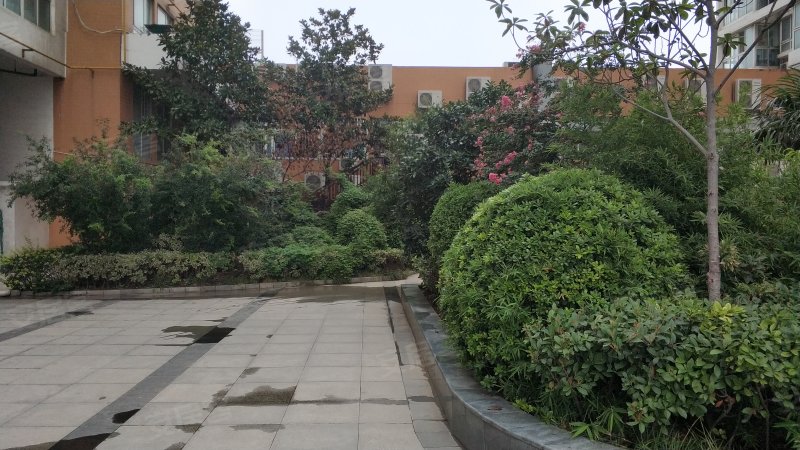 中苑名都,大学北路30号-郑州中苑名都二手房,租房,房价-郑州安居客