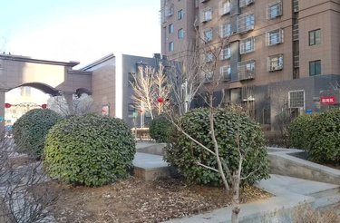 逸品园,大理路 - 唐山逸品园二手房,租房,房价-唐山安居客