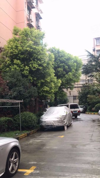 新泾一村绿新小区