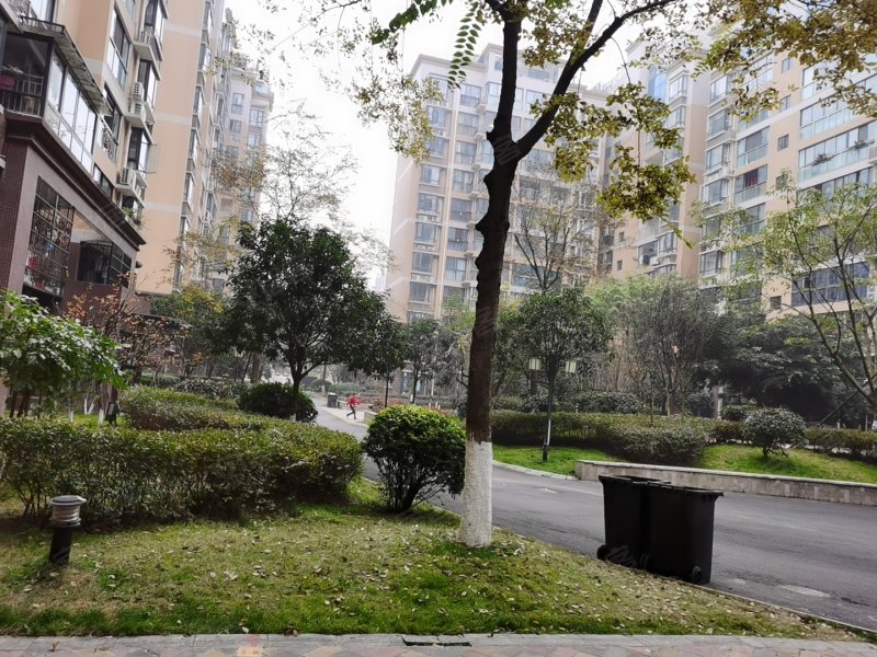 喜来公社,玉泉中路2号-绵阳喜来公社二手房,租房,房价-绵阳安居客