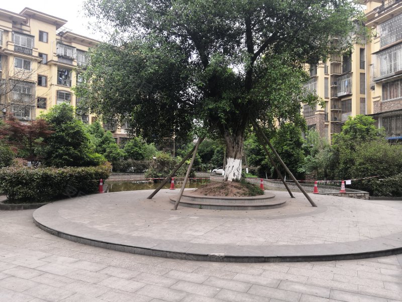 天远红树湾,黄桷路6号-泸州天远红树湾二手房,租房,房价-泸州安居客