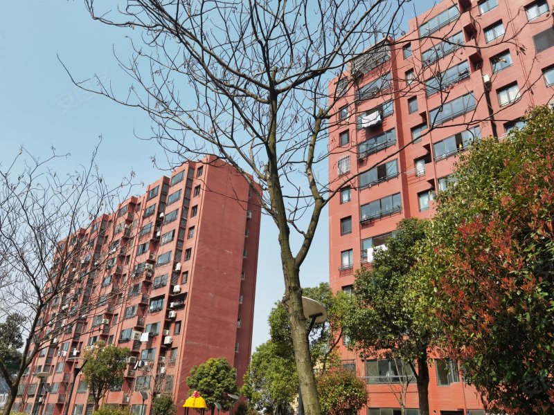 佘北家园银杏苑