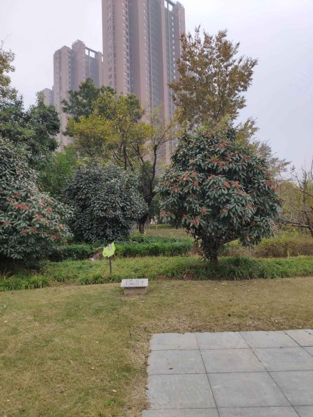 万科橙郡,平山路-徐州万科橙郡二手房,租房,房价-徐州安居客