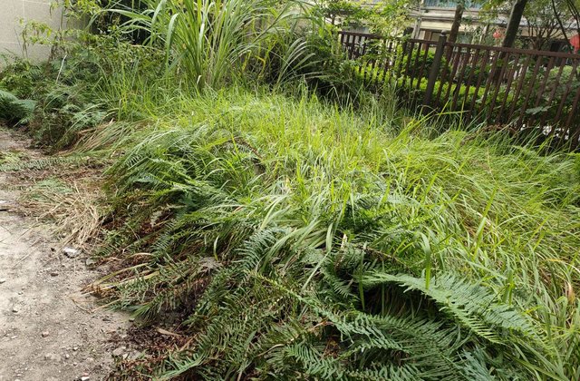 紫云府3室2厅120㎡52.8万二手房图片