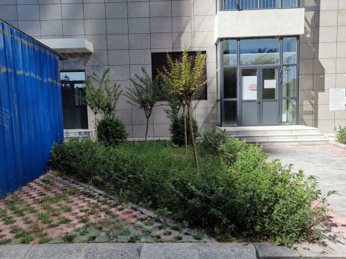 白佛家园,银佛家园|中山东路 - 石家庄白佛家园二手房,租房,房价