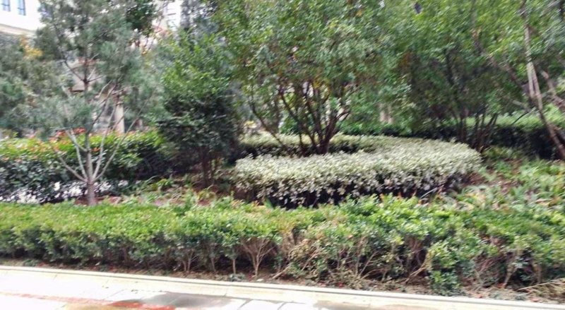 诚意出售,美景城二手房,117万,3室2厅,2卫,130平米-洛阳安居客